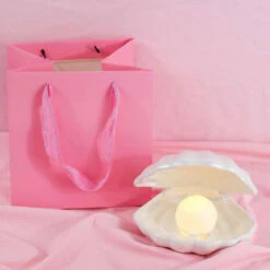 Ceramic Shell LED Light -Best Homeware Shop 0002 WeChatImage 20220804163057