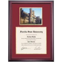 Florida State Premier The Westcott Building Diploma Frame 5 Florida State Premier The Westcott Building Diploma Frame -Best Homeware Shop DSSHEFFLUPC7MGFNW