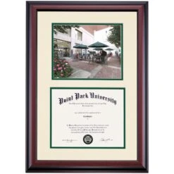 Point Park Premier Alumni Park Diploma Frame