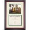 South Florida Premier The USF Seal Diploma Frame