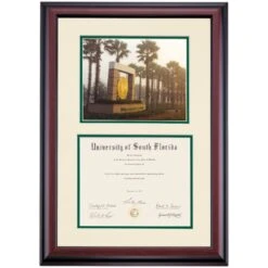 South Florida Premier The USF Seal Diploma Frame
