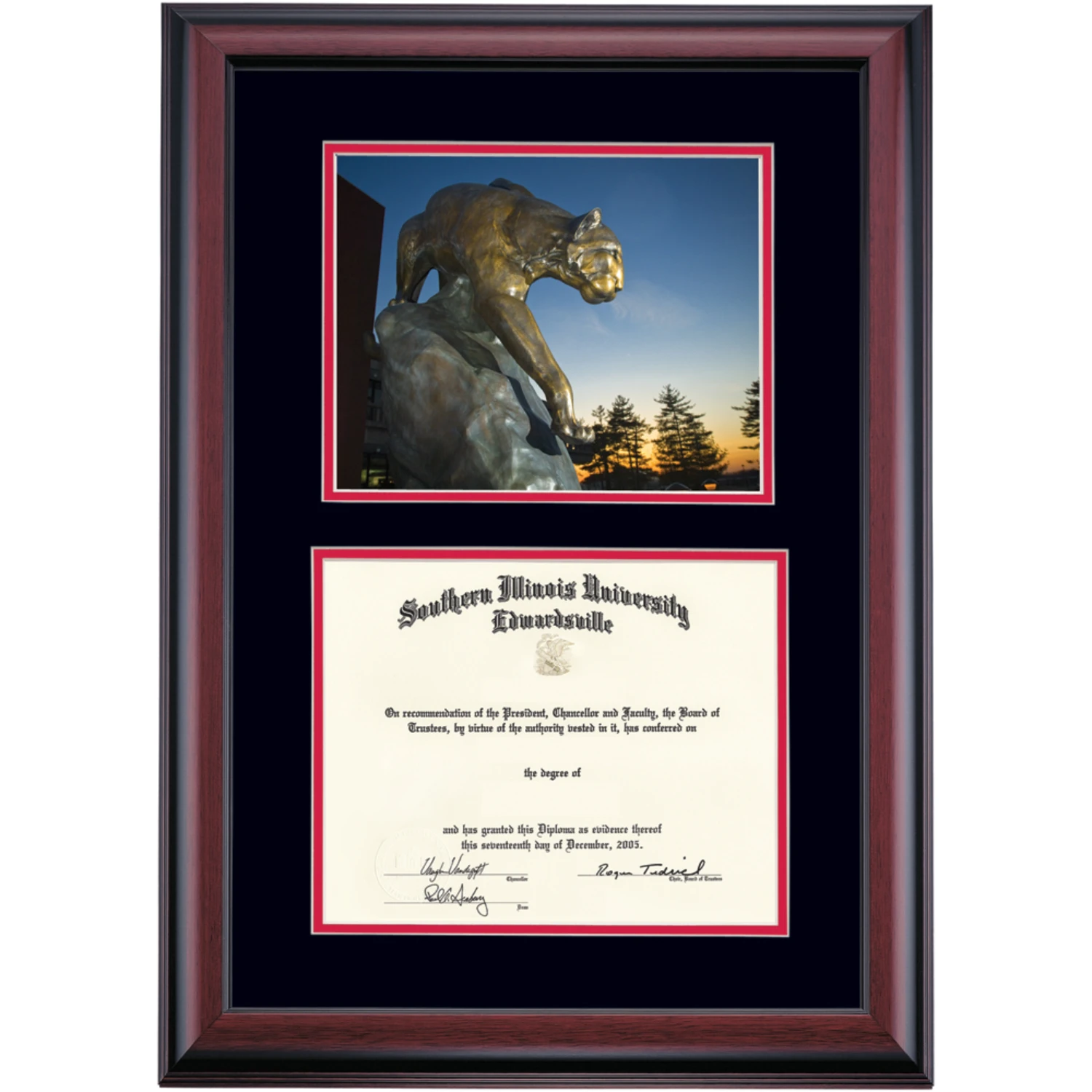 Southern Illinois Edwardsville Premier Cougar Statue Diploma Frame Southern Illinois Edwardsville Premier Cougar Statue Diploma Frame -Best Homeware Shop DSSHEFSIEPC4BCECG