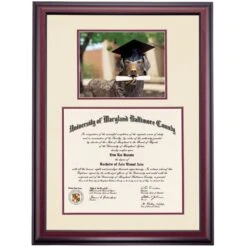 Maryland Baltimore County Premier True Grit Statue Diploma Frame