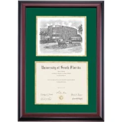 South Florida Premier Marshall Student Center Diploma Frame -Best Homeware Shop DSSHEISFLPC4HGMPR