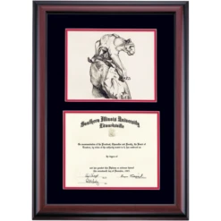 Southern Illinois Edwardsville Premier Cougar Statue Diploma Frame 2 Southern Illinois Edwardsville Premier Cougar Statue Diploma Frame -Best Homeware Shop DSSHEISIEPC4BCECP