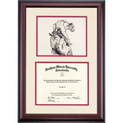 Southern Illinois Edwardsville Premier Cougar Statue Diploma Frame