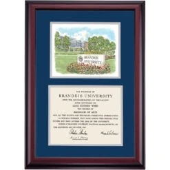 Brandeis Premier Brandeis University Sign Diploma Frame -Best Homeware Shop DSSHEWBRUPC5NEBUW
