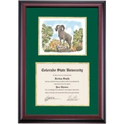 Colorado State Premier The Ram Sculpture Diploma Frame -Best Homeware Shop DSSHEWCSUPC4HGOWP