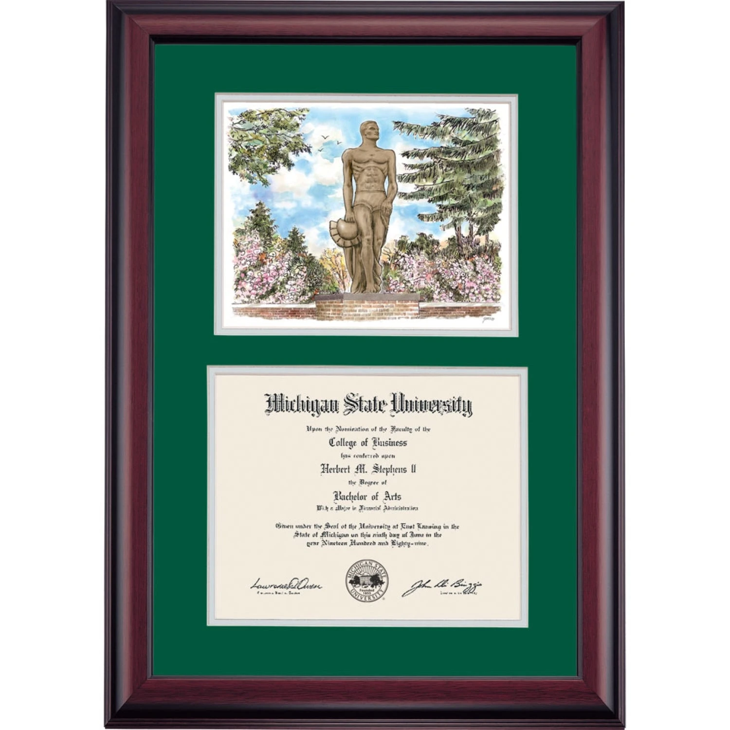 Michigan State Premier The Spartan Diploma Frame Michigan State Premier The Spartan Diploma Frame -Best Homeware Shop DSSHEWMSTPC4HESSW