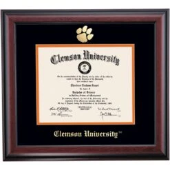 Clemson School Color Gold Embossed Traditional Diploma Frame