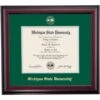 Michigan State School Color Traditional Diploma Frame
