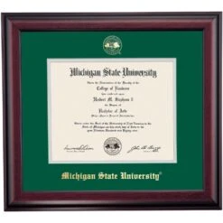 Michigan State School Color Traditional Diploma Frame