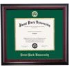 Point Park School Color Traditional Diploma Frame