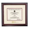 American Speech-Language-Hearing Association Traditional Certificate Frame