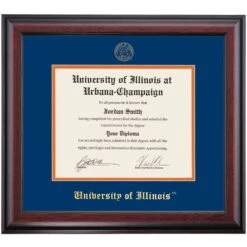 Illinois At Urbana-Champaign School Color Traditional Diploma Frame