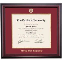 Florida State School Color Traditional Diploma Frame