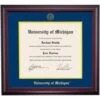 Michigan School Color Traditional For PhD, Dentistry And Law Degrees Diploma Frame