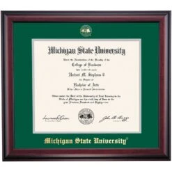 Michigan State School Color Traditional For Medical Degree Diploma Frame