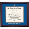 Florida School Color Traditional Diploma Frame