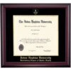 Johns Hopkins Bloomberg School Color Traditional Diploma Frame