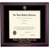 Johns Hopkins Nursing School Color Traditional Diploma Frame