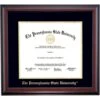 Penn State Traditional Diploma Frame For Medical Degree