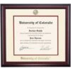 Colorado Traditional For Law And Doctoral Degree Diploma Frame