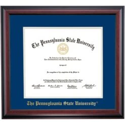Penn State School Color Traditional Diploma Frame For Medical Degree