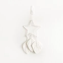 Star And Feather Macrame Wall Hanging