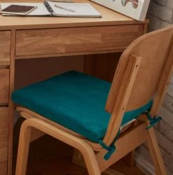 Bridgette Velvet Seat Cushion -Best Homeware Shop Teal 007